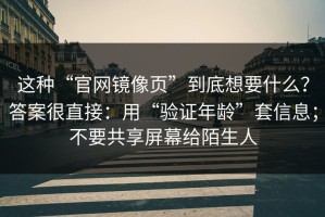 这种“官网镜像页”到底想要什么？答案很直接：用“验证年龄”套信息；不要共享屏幕给陌生人