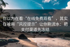 你以为在看“在线免费观看”，其实在被用“风控提示”让你刷流水：把支付渠道先冻结