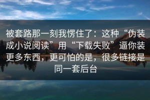 被套路那一刻我愣住了：这种“伪装成小说阅读”用“下载失败”逼你装更多东西，更可怕的是，很多链接是同一套后台
