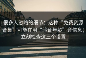 很多人忽略的细节：这种“免费资源合集”可能在用“验证年龄”套信息；立刻检查这三个设置