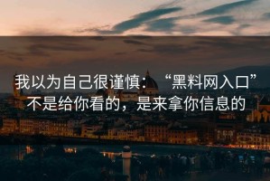 我以为自己很谨慎：“黑料网入口”不是给你看的，是来拿你信息的