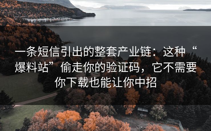一条短信引出的整套产业链:这种“爆料站”偷走你的验证码,它不需要你下载也能让你中招 一条短信引出的整套产业链:这种“爆料站”偷走你的验证码,它不需要你下载也能让你中招