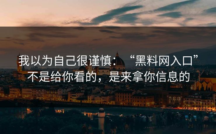 我以为自己很谨慎：“黑料网入口”不是给你看的，是来拿你信息的