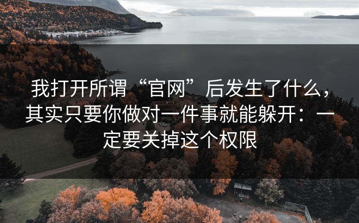 我打开所谓“官网”后发生了什么，其实只要你做对一件事就能躲开：一定要关掉这个权限