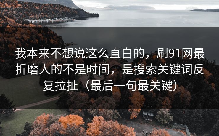 我本来不想说这么直白的，刷91网最折磨人的不是时间，是搜索关键词反复拉扯（最后一句最关键）